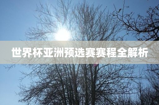 世界杯亚洲预选赛赛程全洛阳市法福文化传播有限公司解析