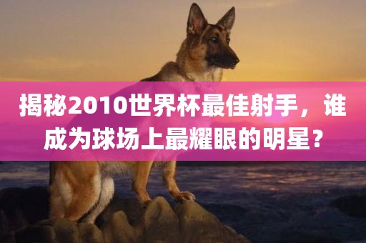 揭秘2010世界杯最佳射手，谁成为球场上最耀眼的明星？