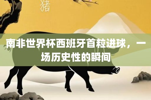 nieruihai