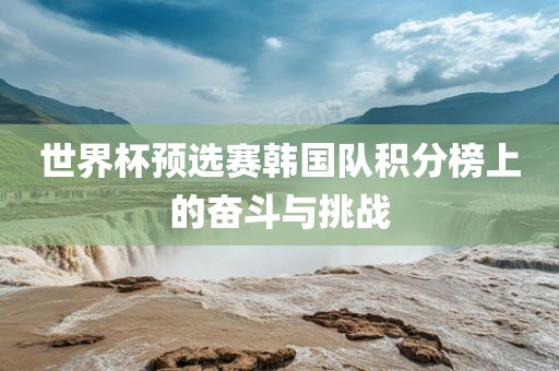 世界杯预选赛韩国队积分榜上的奋斗与挑战