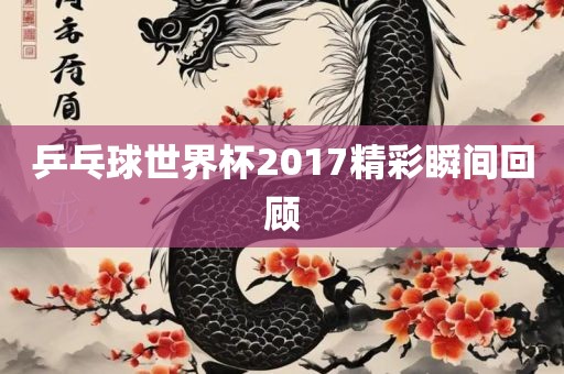乒乓球世界杯2017精彩瞬间回顾