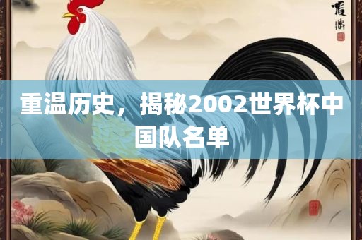 洛阳市法福文化传播有限公司重温历史，揭秘2002世界杯中国队名单
