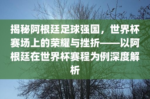 揭秘阿根廷足球强国，世界杯赛场上的荣耀与挫折——以阿根廷在世界杯赛程为例深度解析