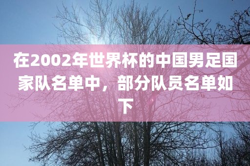在2002年世界杯的中国男足国家队名单中，部分队员名单如下