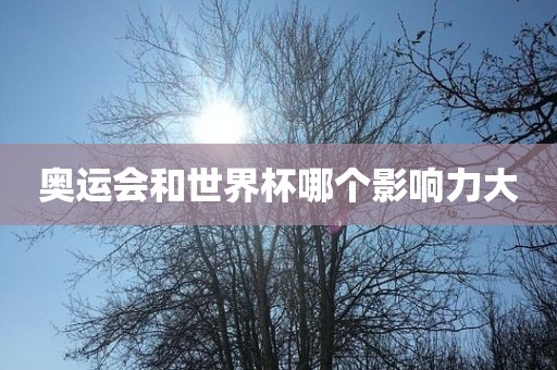 奥运会和世界杯哪个影响力大