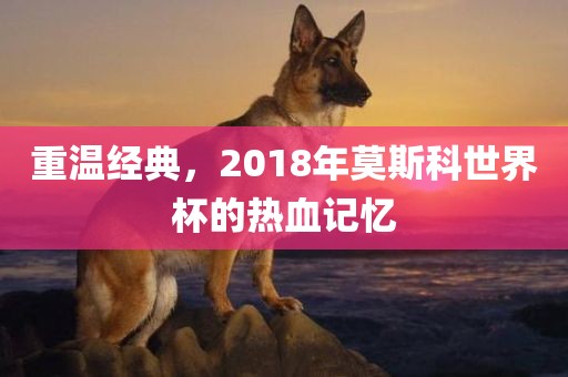 重温经典，2018年莫斯科世界杯的热血记忆