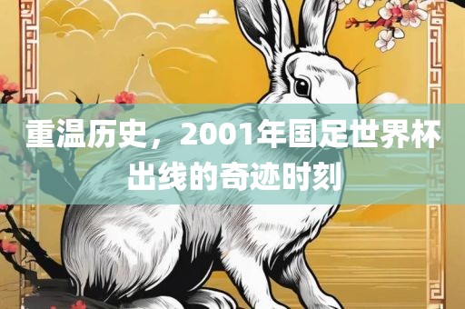 重温历史，2001年国足世界杯出线的奇迹时刻