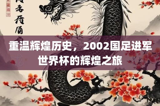 重温辉煌历史，2002国足进军世界杯的辉煌之旅
