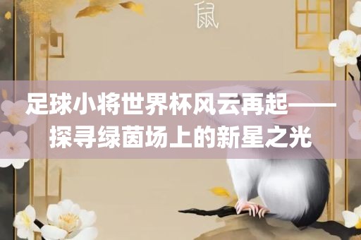 足球小将世界杯风云再起——探寻绿茵场上的新星之光