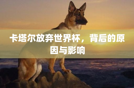 卡塔尔放弃世界杯，背后的原因与影响