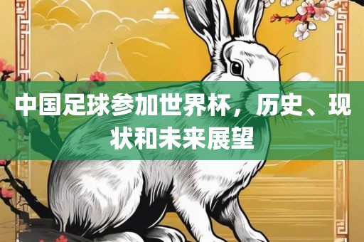 中国足球参加世界杯，历史、现状和未来展望
