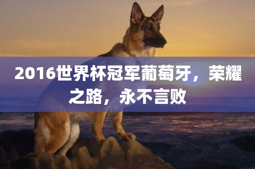 2016世界杯冠军葡萄牙，荣耀之路，永不言败