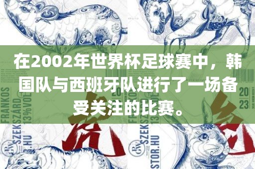 在2002年世界杯足球赛中，韩国队与西班牙队进行了一场备受关注的比赛。
