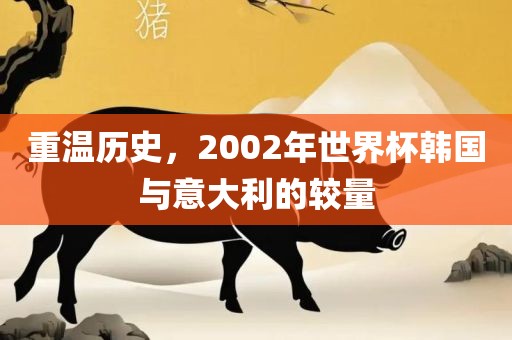 重温历史，2002年世界杯韩国与意大利的较量
