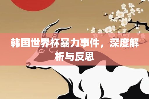 韩国世界杯暴力事件，深度解析与反思
