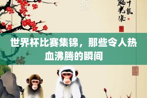 世界杯比赛集锦，那些令人热血沸腾的瞬间