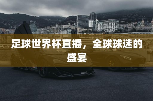 足球世界杯直播，全球球迷的盛宴