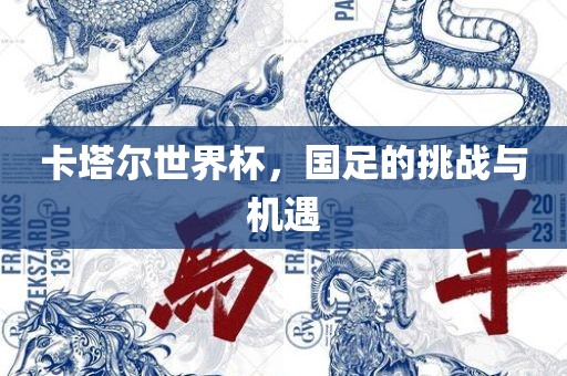 卡塔尔世界杯，国足的挑战与机遇