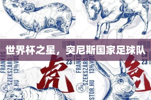 世界杯之星，突尼斯国家足球队