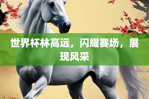 世界杯林高远，闪耀赛场，展现风采