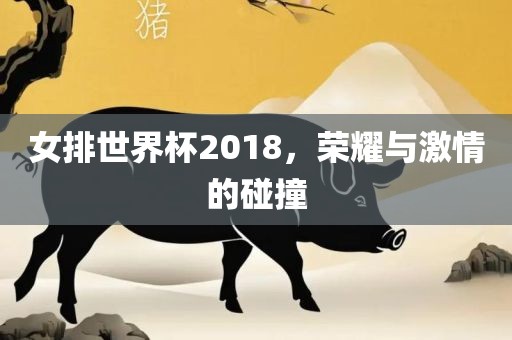 女排世界杯2018，荣耀与激情的碰撞
