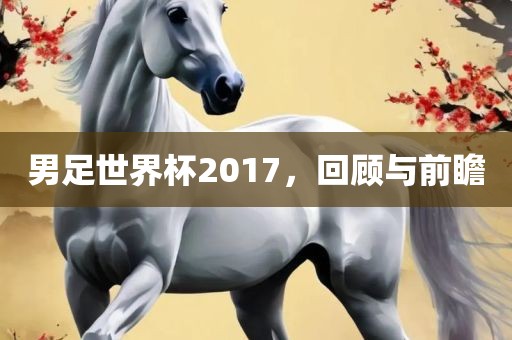 男足世界杯2017，回顾与前瞻
