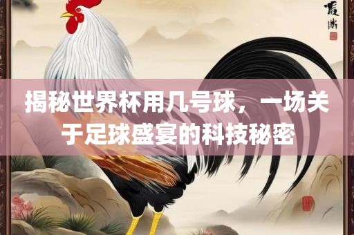 揭秘世界杯用几号球，一场关于足球盛宴的科技秘密