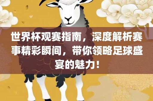 世界杯观赛指南，深度解析赛事精彩瞬间，带你领略足球盛宴的魅力！