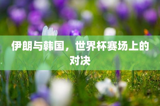 伊朗与韩国，世界杯赛场上的对决