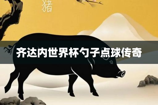 齐达内世界杯勺子点球传奇