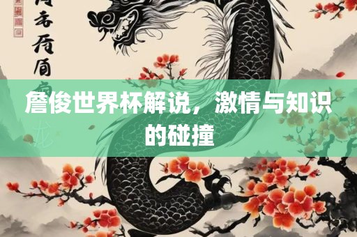 詹俊世界杯解说，激情与知识的碰撞