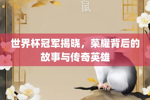 世界杯冠军揭晓，荣耀背后的故事与传奇英雄