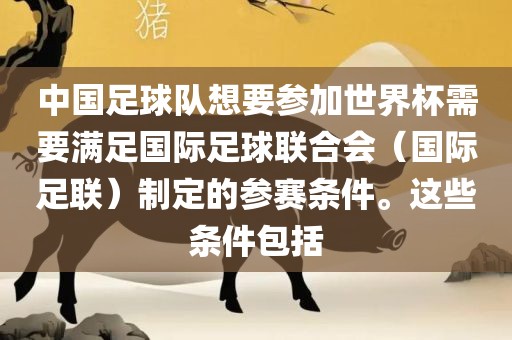 中国足球队想要参加世界杯需要满足国际足球联合会（国际足联）制定的参赛条件。这些条件包括
