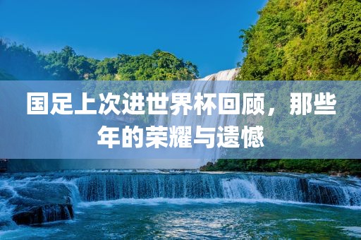 国足上次进世界杯回顾，那些年的荣耀与遗憾