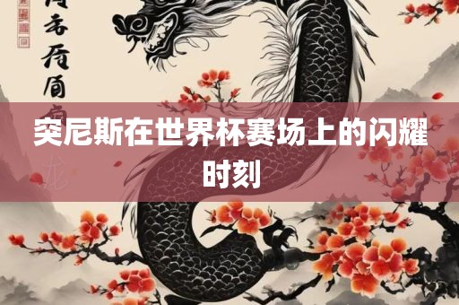 突尼斯在世界杯赛场上的闪耀时刻