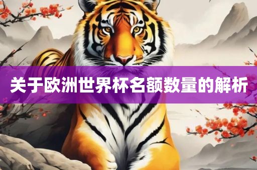 关于欧洲世界杯名额数量的解析
