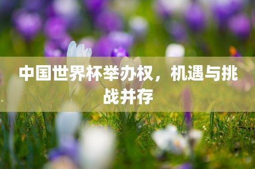 中国世界杯举办权，机遇与挑战并存
