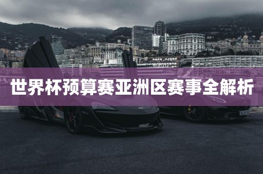 世界杯预算赛亚洲区赛事全解析