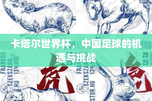 卡塔尔世界杯，中国足球的机遇与挑战