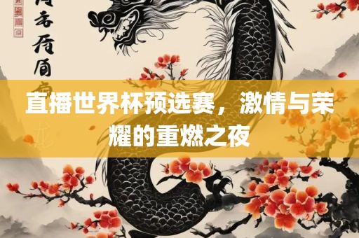 直播世界杯预选赛，激情与荣耀的重燃之夜