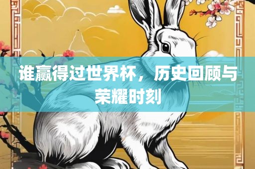 谁赢得过世界杯，历史回顾与荣耀时刻
