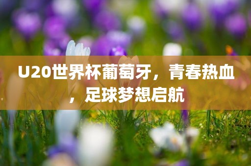 U20世界杯葡萄牙，青春热血，足球梦想启航洛阳市法福文化传播有限公司