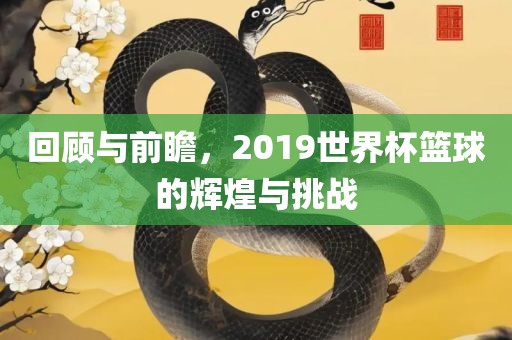 回顾与前瞻，2019世界杯篮球的辉煌与挑战