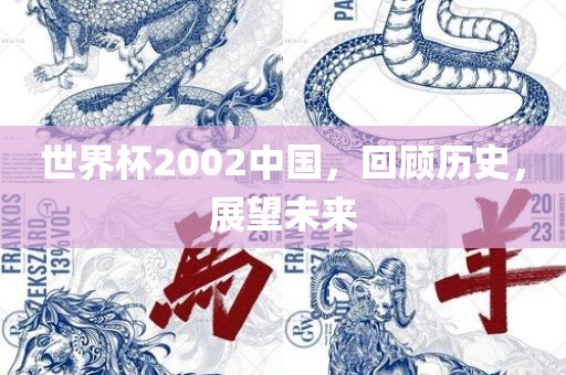 世界杯2002中国，回顾历史，展望未来