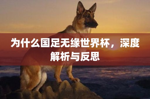 为什么国足无缘世界杯，深度解析与反思