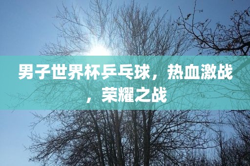 男子世界杯乒乓球，热血激战，荣耀之战
