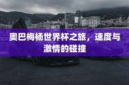 奥巴梅杨世界杯之旅，速度与激情的碰撞