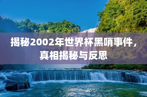 揭秘2002年世界杯黑哨事件，真相揭秘与反思