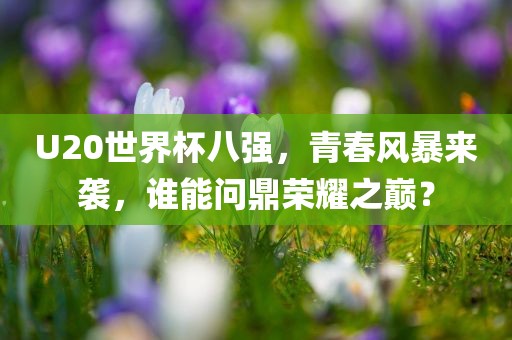 U20世界杯八强，青春风暴来袭，谁能问鼎荣耀之巅？