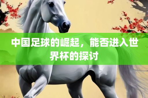 中国足球的崛起，能否进入世界杯的探讨